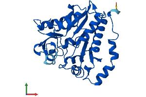 Protein Structure (PS) image for Glucosamine-6-Phosphate Deaminase 2 (GNPDA2) (AA 1-276) protein (His tag) (ABIN7560635)