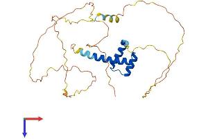 HOXC11 Protein (AA 1-304) (His tag)