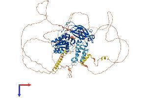 DNAJC6 Protein (AA 1-938) (His tag)