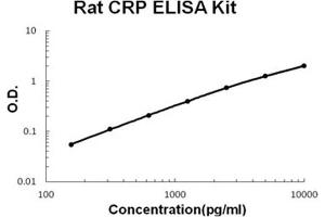 Rat CRP PicoKine ELISA Kit standard curve (CRP ELISA Kit)