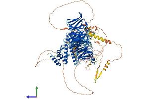 Protein Structure (PS) image for HIR Histone Cell Cycle Regulation Defective Homolog A (HIRA) (AA 1-1017) protein (His tag) (ABIN7554089)