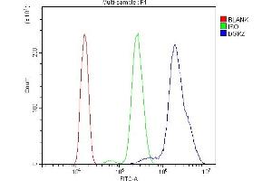 Flow Cytometry analysis of HL-60 cells using anti-DGKZ/DGK-zeta antibody (ABIN7602261).