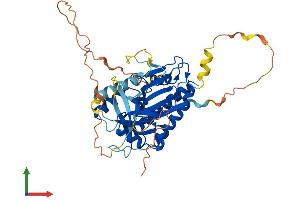 Protein Structure (PS) image for Inositol Hexakisphosphate Kinase 1 (IP6K1) (AA 1-433) protein (His tag) (ABIN7558040)