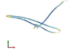 Protein Structure (PS) image for Meiosis-Specific Nuclear Structural 1 (MNS1) (AA 1-491) protein (His tag) (ABIN7557745)
