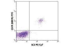 Flow Cytometry (FACS) image for anti-CD40 (CD40) antibody (PE-Cy7) (ABIN2659263) (CD40 Antikörper  (PE-Cy7))