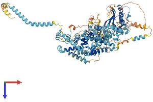 SNX14 Protein (AA 1-946) (His tag)