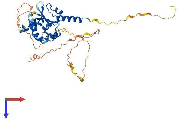 ATCAY Protein (AA 1-371) (His tag)