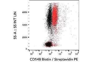 Surface staining of human peripheral blood leukocytes using anti-CD148 (MEM-CD148/05) biotin.