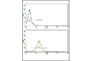 Flow Cytometry (FACS) image for anti-Wingless-Type MMTV Integration Site Family, Member 10B (WNT10B) (AA 193-222) antibody (ABIN390524)