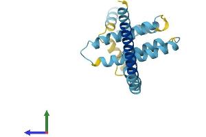 Protein Structure (PS) image for Receptor Accessory Protein 5 (REEP5) (AA 1-189) protein (His tag) (ABIN7551323)