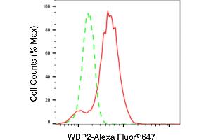 Flow cytometric analysis of WBP2 expression in HepG2 cells using WBP2 antibody (ABIN7800868), 1:2,000). (WBP2 Antikörper)