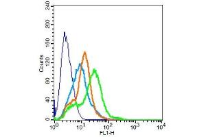 RSC96 probed with KCNQ2 Polyclonal Antibody, Unconjugated  ) at 3ug for 30 minutes followed by incubation with a conjugated secondary -FITC) (green) for 30 minutes compared to control cells (blue), secondary only (light blue) and isotype control (orange). (KCNQ2 Antikörper  (AA 91-150))