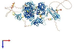MOV10L1 Protein (AA 1-1211) (His tag)