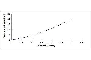 Typical standard curve (ADRB1 ELISA Kit)