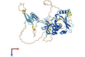 TSEN2 Protein (AA 1-460) (His tag)