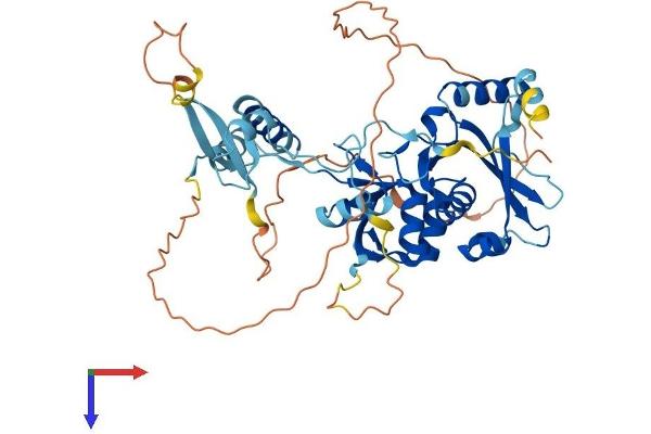 TSEN2 Protein (AA 1-460) (His tag)