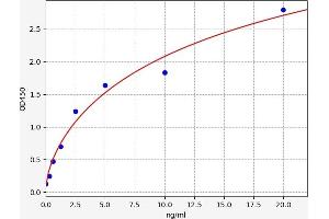 Sulfotransferase Family 1E Member 1 (SULT1E1) ELISA Kit