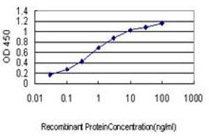Detection limit for recombinant GST tagged CDC42BPA is approximately 0.