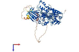 MTMR1 Protein (AA 1-669) (His tag)