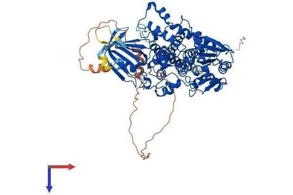 MTMR1 Protein (AA 1-669) (His tag)