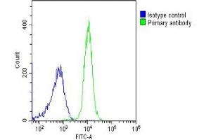 Overlay histogram showing K562 cells stained with Antibody (green line). (PPID Antikörper  (AA 336-370))