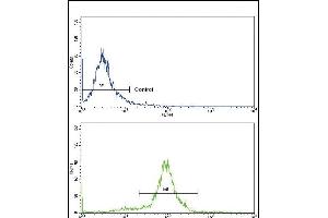 Flow Cytometry (FACS) image for anti-Chemokine (C-C Motif) Ligand 2 (CCL2) (AA 62-89), (C-Term) antibody (ABIN390653)