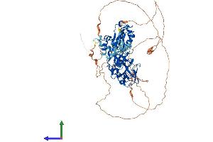 AlphaFold protein structure predicition of Human Recombinant SCML2 Protein, UniprotID Q9UQR0 (SCML2 Protein (AA 1-700) (His tag))