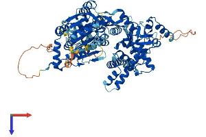 DHX32 Protein (AA 1-743) (His tag)