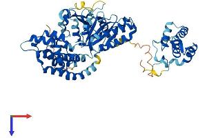 EHD2 Protein (AA 1-543) (His tag)