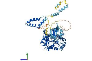 Protein Structure (PS) image for Membrane Protein, Palmitoylated 6 (MAGUK P55 Subfamily Member 6) (MPP6) (AA 1-540) protein (His tag) (ABIN7549509)