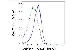 Validation of Adducin 1 knockdown using flow cytometry. (alpha Adducin Antikörper)