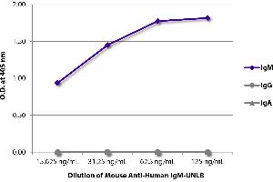ELISA plate was coated with purified human IgM, IgG, and IgA. (Maus anti-Human IgM Antikörper)