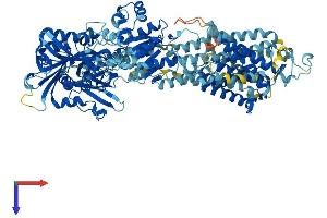 ATP2A2 Protein (AA 1-1044) (His tag)
