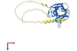 FGF13 Protein (AA 1-245) (His tag)