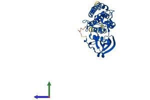 AlphaFold protein structure predicition of Mouse Recombinant Pomk Protein, UniprotID Q3TUA9