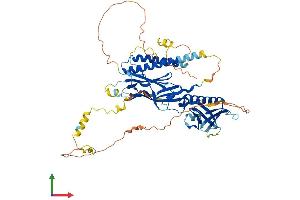 AlphaFold protein structure predicition of Mouse Recombinant Rtkn Protein, UniprotID Q8C6B2 (Rhotekin Protein (RTKN) (AA 1-564) (His tag))