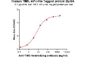 ELISA image for Hepatitis A Virus Cellular Receptor 2 (TIM 3) (AA 22-202) protein (mFc-His Tag) (ABIN6961103)