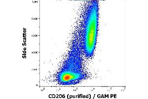 Flow cytometry surface staining pattern of human stimulated (GM-CSF + IL-4) peripheral blood mononuclear cells stained using anti-human CD206 (15-2) purified antibody (concentration in sample 9 μg/mL), GAM PE. (Macrophage Mannose Receptor 1 Antikörper)
