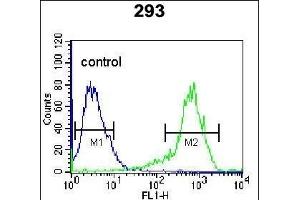 KARS Antibody (N-term) (ABIN655049 and ABIN2844677) flow cytometric analysis of 293 cells (right histogram) compared to a negative control cell (left histogram). (KARS Antikörper  (N-Term))