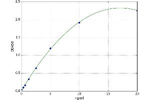 Insulin-Like Growth Factor 2 mRNA Binding Protein 3 (IGF2BP3) ELISA Kit