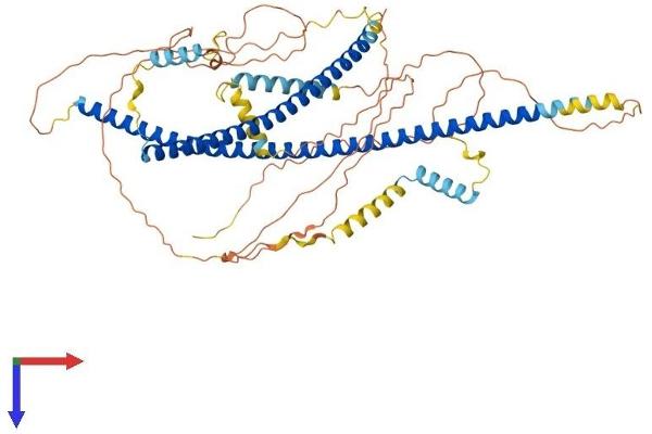 HAP1 Protein (AA 1-628) (His tag)