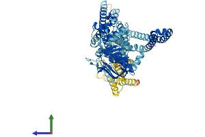 Protein Structure (PS) image for Transporter 1, ATP-Binding Cassette, Sub-Family B (MDR/TAP) (TAP1) (AA 1-724) protein (His tag) (ABIN7562964)