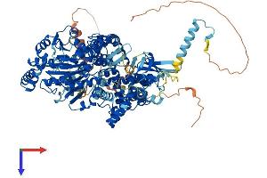 DHX36 Protein (AA 1-1001) (His tag)