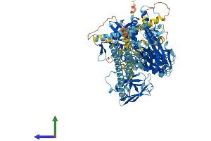 AlphaFold protein structure predicition of Mouse Recombinant Kif28p Protein, UniprotID D3YXS5 (KIF28P (AA 1-1028) protein (His tag))
