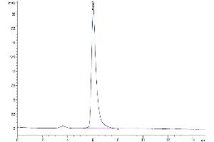 Size-exclusion chromatography-High Pressure Liquid Chromatography (SEC-HPLC) image for Adiponectin (ADIPOQ) (AA 19-244) protein (His tag) (ABIN7273797)