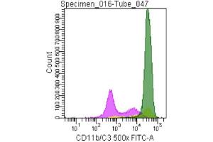 Image no. 2 for anti-CD11b/C3 antibody (ABIN920591) (CD11b/C3 Antikörper)