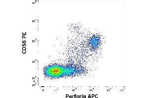 Flow cytometry multicolor surface staining pattern of human lymphocytes using anti-human CD56 (LT56) PE antibody (10 μL reagent / 100 μL of peripheral whole blood) and intracellular staining using anti-Perforin (dG9) APC antibody (10 μL reagent / 100 μL of peripheral whole blood). (Perforin 1 Antikörper  (APC))