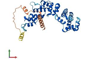 Protein Structure (PS) image for F-Box Protein 8 (FBXO8) (AA 1-319) protein (His tag) (ABIN7561837)