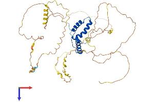 SOX3 Protein (AA 1-446) (His tag)