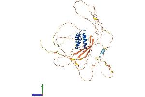 AlphaFold protein structure predicition of Human Recombinant CABYR Protein, UniprotID O75952